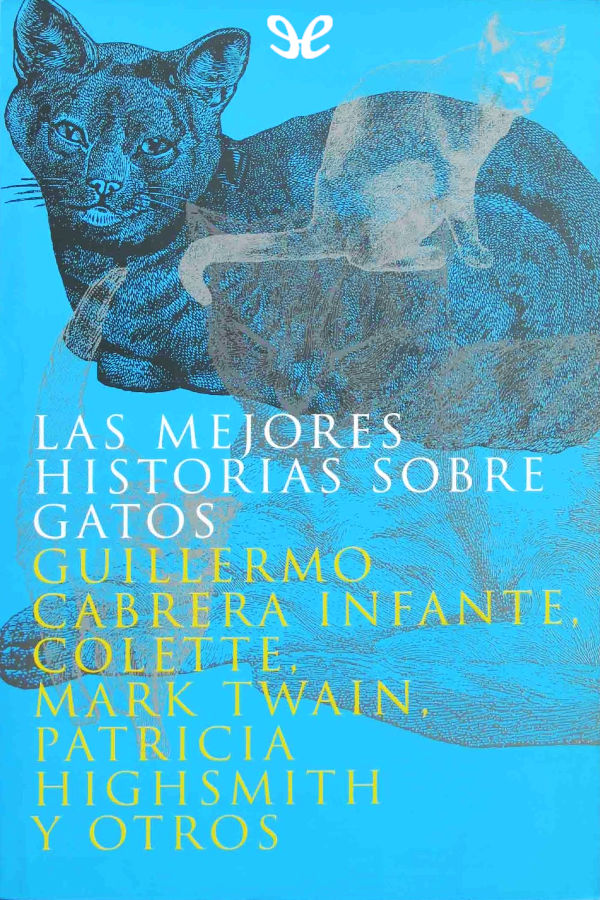 Las mejores historias sobre gatos