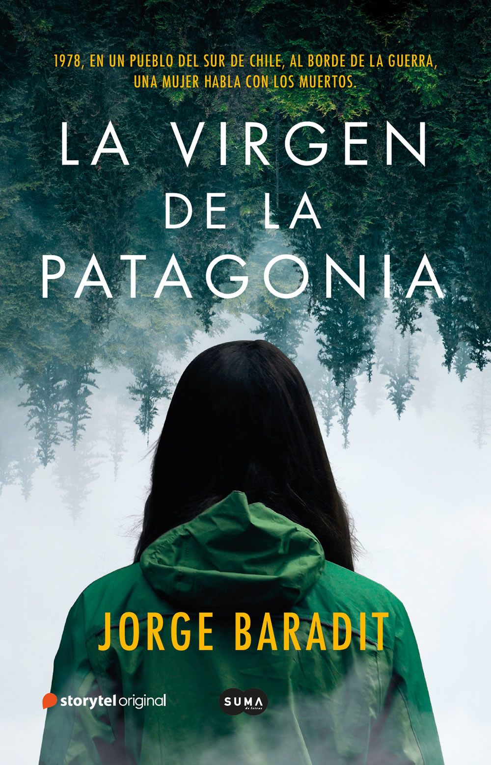 La virgen de la Patagonia