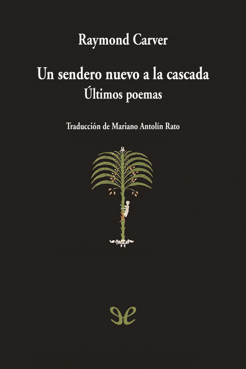 Un sendero nuevo a la cascada