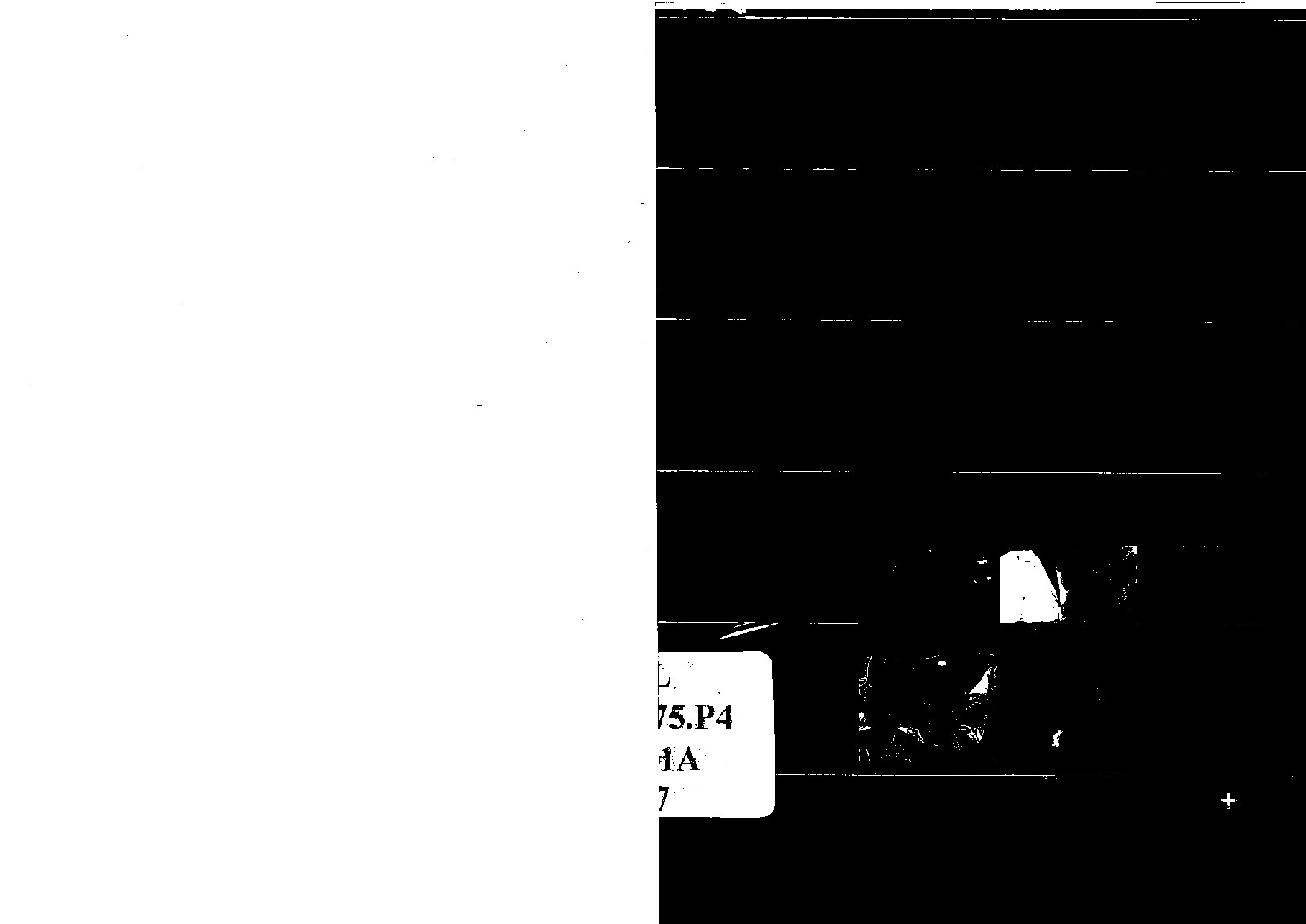 [1ra Edición] Raúl R. Romero - Andinos y Tropicales. La cumbia peruana en la ciudad global. (2008, PUCP) - libgen.li