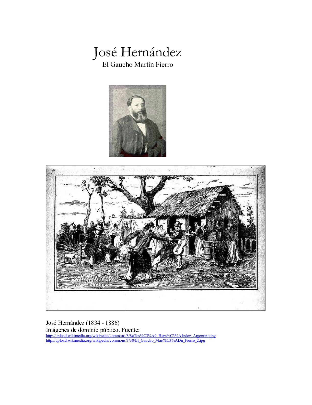 Hernández José - El gaucho Martín Fierro