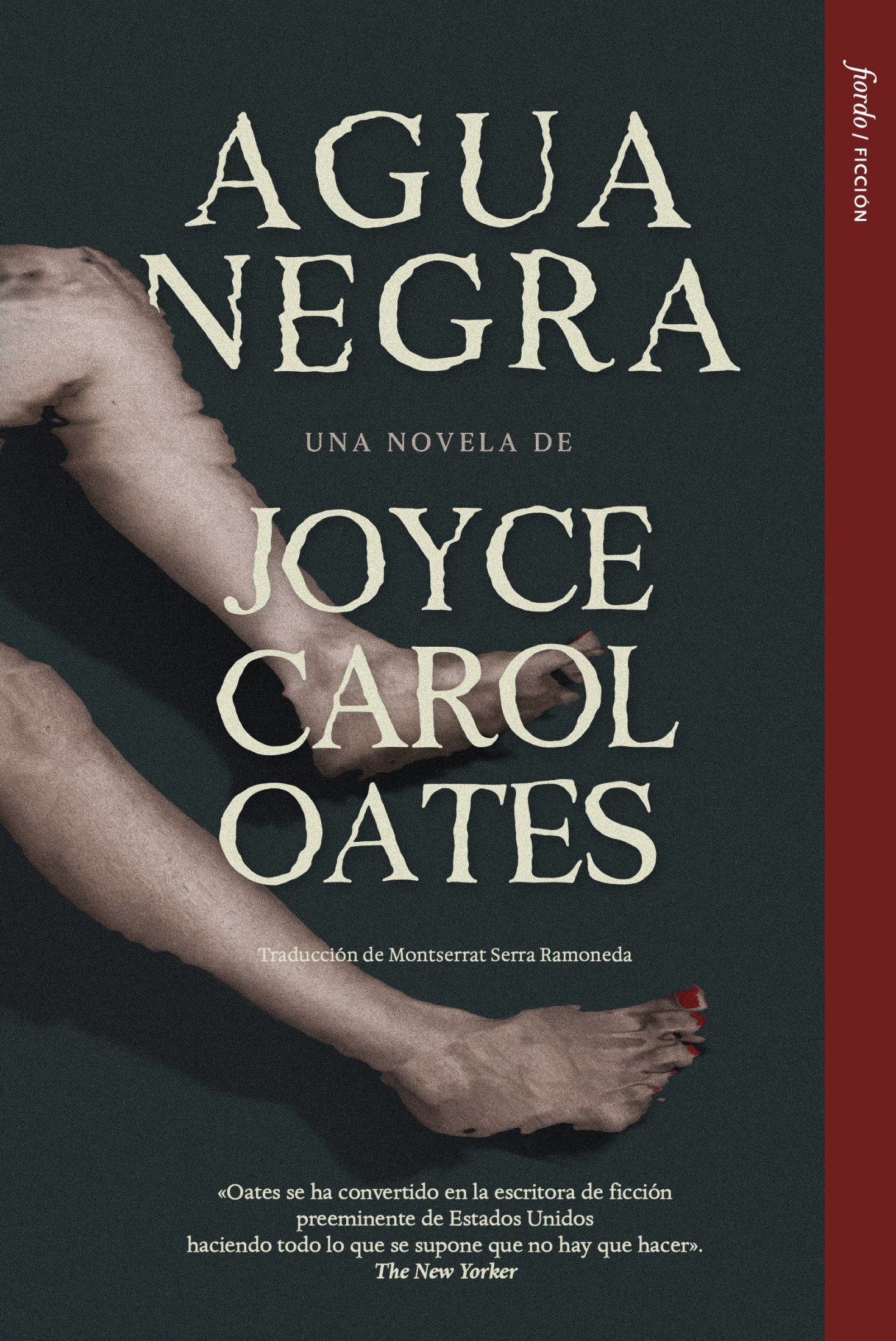 Agua negra