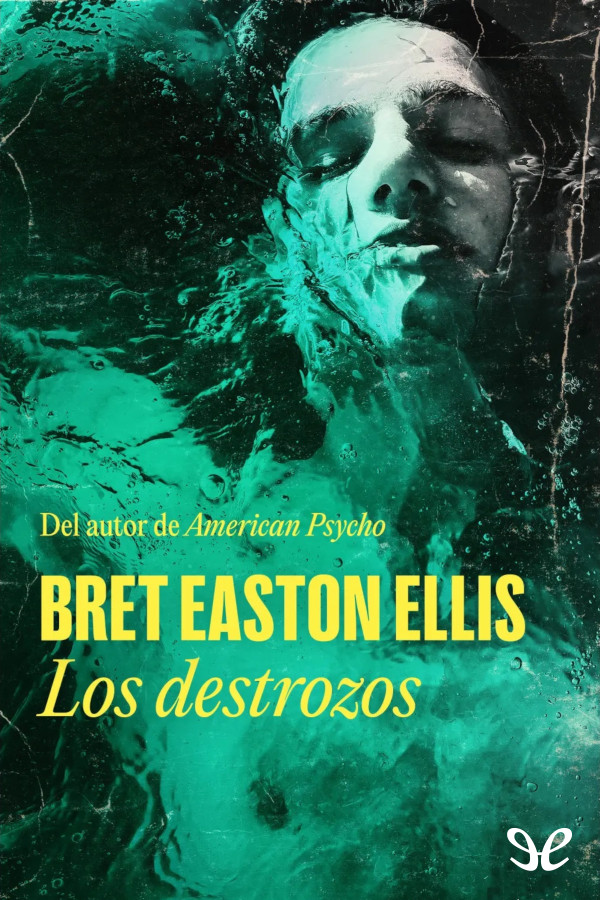 Los destrozos